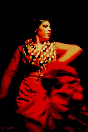 Flamenco 3  